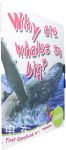 Why Are Whales So Big?