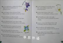 Poetry Treasury Collection6-10