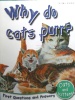 Cats And Kittens: Why Do Cats Purr? (First Questions And Answers) (First Q&A)