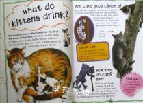 Cats And Kittens: Why Do Cats Purr? (First Questions And Answers) (First Q&A)