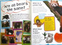 Bears: Why Do Bears Go Fishing?