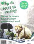 Bears: Why Do Bears Go Fishing?