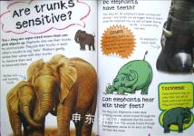 Elephants: Why Do Elephants Trumpet? (First Questions And Answers)