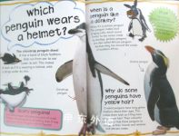 Penguins :Why Can't Penguins Fly? (First Questions And Answers) (First Q&A)