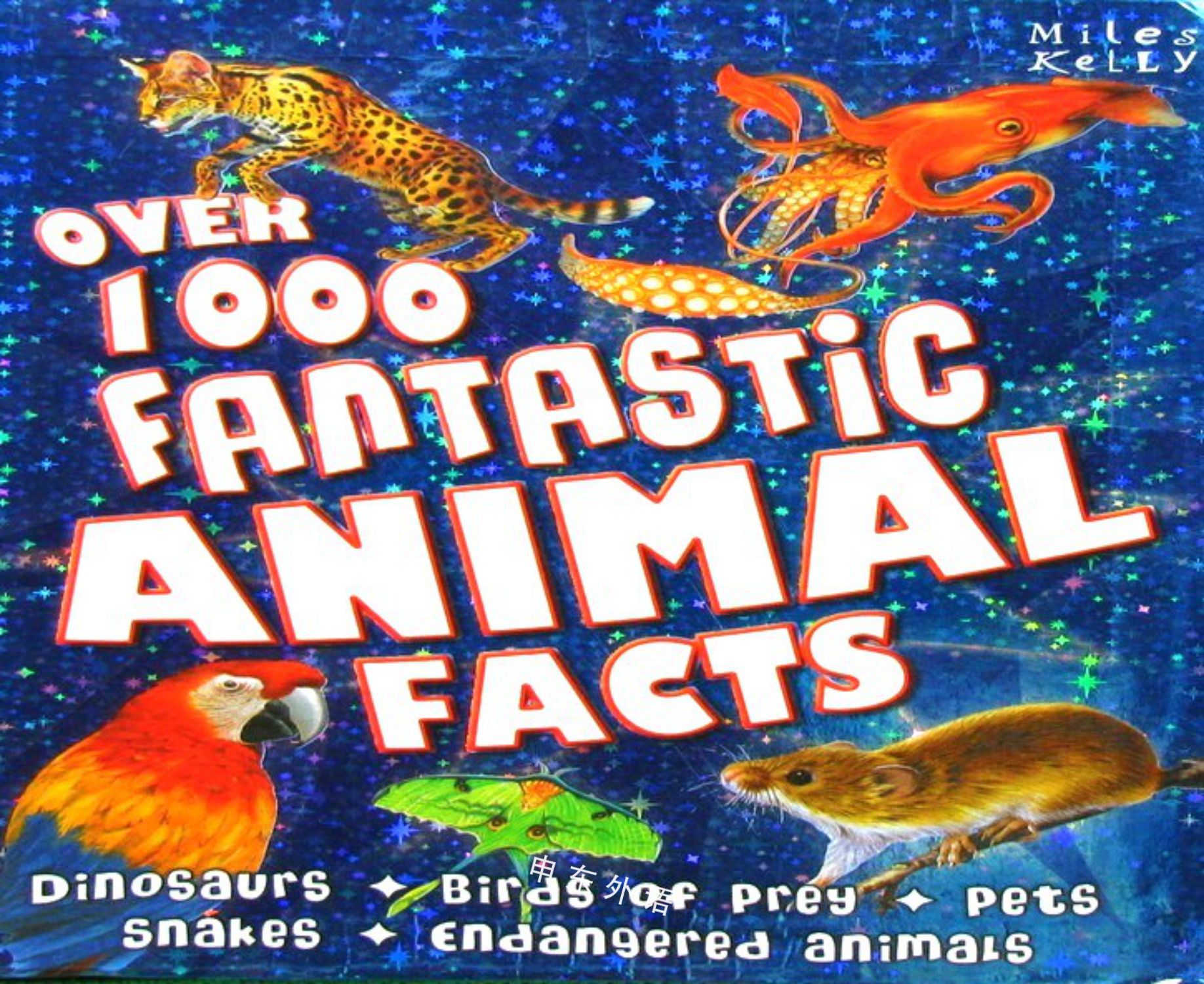 Over 1000 Fantastic Animal Facts _动物学_科学，自然与自然规律_儿童图书_进口图书_进口书,原版书,绘本书,英文原版图书,儿童纸板书,外语图书,进口儿童书,原版儿童书