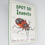 How to identify 50 species: Spot 50 Insects