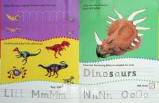 Dinosaurs (Learn to Write)