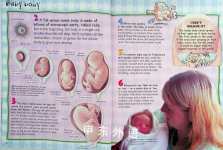100 Facts Human Body