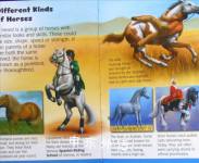 Horses (Mini Explorers)