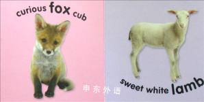Baby Animals