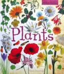 Plants Terry Jennings