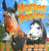 Horses and Ponies (Farmyard Friends)