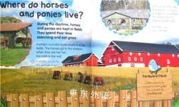 Horses and Ponies (Farmyard Friends)