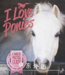 I Love Ponies Sandy Ransford