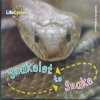 LifeCycles:Snakelet to Snake