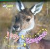 Life Cycles:Joey to Kangaroo