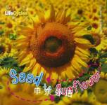 Seed to Sunflower Camilla de la Bedoyere