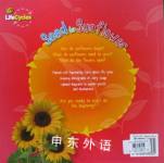 Seed to Sunflower