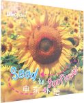 Seed to Sunflower