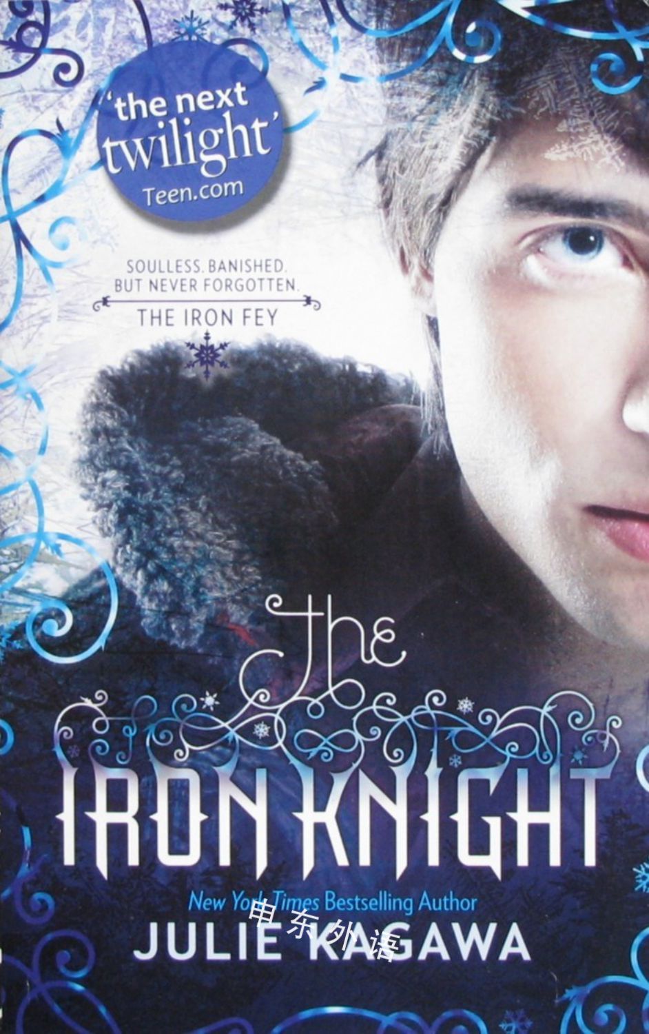 The Iron Knight The Iron Fey, Book 4_科幻小说_系列读物_儿童图书_进口图书_进口书,原版书,绘本书,英文