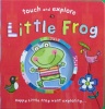 Touch and Explore: Little frog
