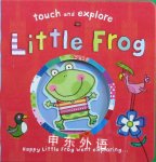 Touch and Explore: Little frog Katie Saunders