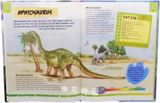 Dinosaurs: The Biggest Reptiles
