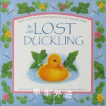 The Little Lost Duckling Sue Barraclough