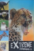 Extreme Animals (Ready To Read)