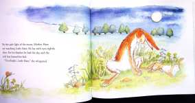 Goodnight Little Hare