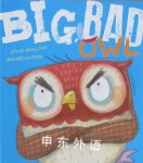 Big, Bad Owl Steve Smallman