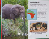 Elephants in danger