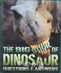 Dinosaur Questions Answers TickTock Books