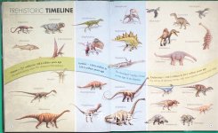 Dinosaur Questions Answers