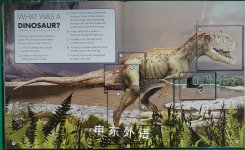 Dinosaur Questions Answers