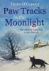 Paw Tracks in the Moonlight