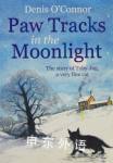 Paw Tracks in the Moonlight Denis O Connor