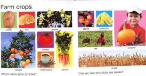 My Big Farm Book