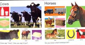 My Big Farm Book