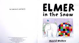 ELMER in the Snow