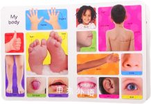 First Board Books :Words