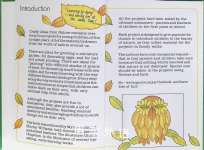 Crafty Ideas from Nature