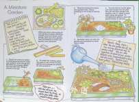 Crafty Ideas from Nature