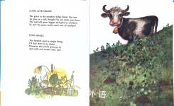 Animals Have Lots of Fun