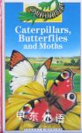 Caterpillars, Butterflies and Moths Pocket Worlds Jean-Pierre Reymond