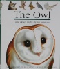 The Owl First Discovery First Discovery Series