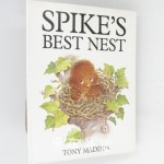 Spike's Best Nest