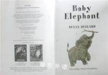 Baby Elephant