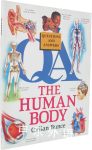 Human Body (Questions & Answers)
