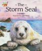 The Storm Seal